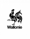 Logo du partenaire La Région wallonne en bleu
